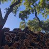 Best of West - das Ende der Welt – Bild 4