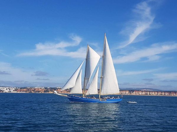 Gite in barca a vela lungo la costa – Foto 4