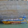 Delfine & Küste: Dreamer – Bild 4