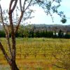Einmal Algarve bitte! – Bild 3