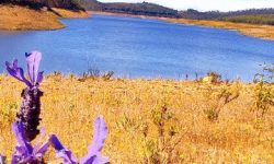 sagres__west_kueste_featured_600x216
