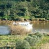 Guadiana-Flussfahrt – Bild 4