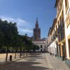 Sevilla - das Herz Andalusiens – Bild 3