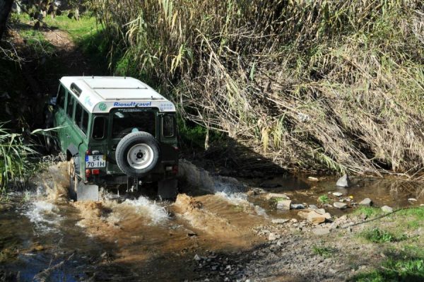 Super-Safari – Bild 4