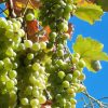 Einmal Algarve bitte! – Bild 5
