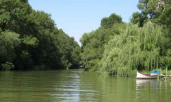 zu_gast_bei_bay_stoyan_1_1920x690