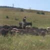 Landrover-Safari – Bild 4