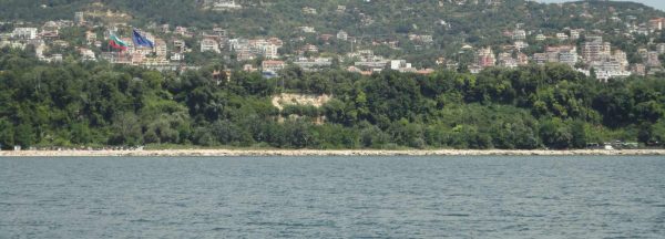 Пиратска партија – Слика 3