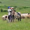 Bulgarien ungeschminkt – Bild 5
