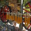 Bulgarien ungeschminkt – Bild 2