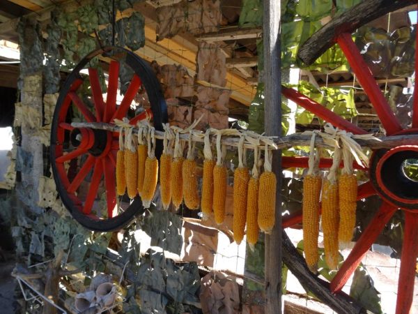 Bulgarien ungeschminkt – Bild 2