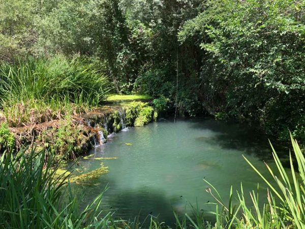 The Offroad Adventure – Bild 2