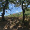 The Offroad Adventure – Bild 3
