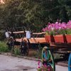 Land und Leute: Bio Tour