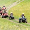 Quad-Safari
