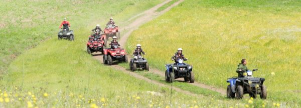 Quad Safari