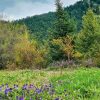 Hiking (Wanderung) – Bild 5