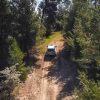 Jeep Safari – Bild 6