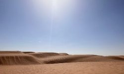 wuestenzauber_sternenhimmel_600x218_featured