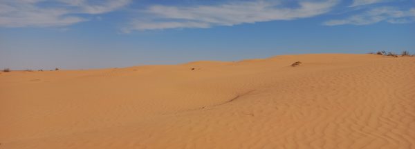 Ksar Ghilane - Jeep Safari – Bild 8