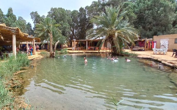 Ksar Ghilane - Jeep Safari – Bild 6