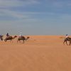 Ksar Ghilane - Jeep Safari