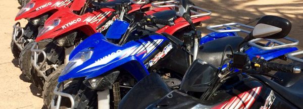 Quad Safari – Bild 3