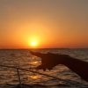 VIP Sundowner Bootstour