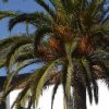 Fuerteventura Exclusive