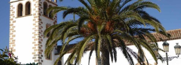 Fuerteventura Exclusive