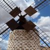 Secrets of Fuerteventura – Bild 3