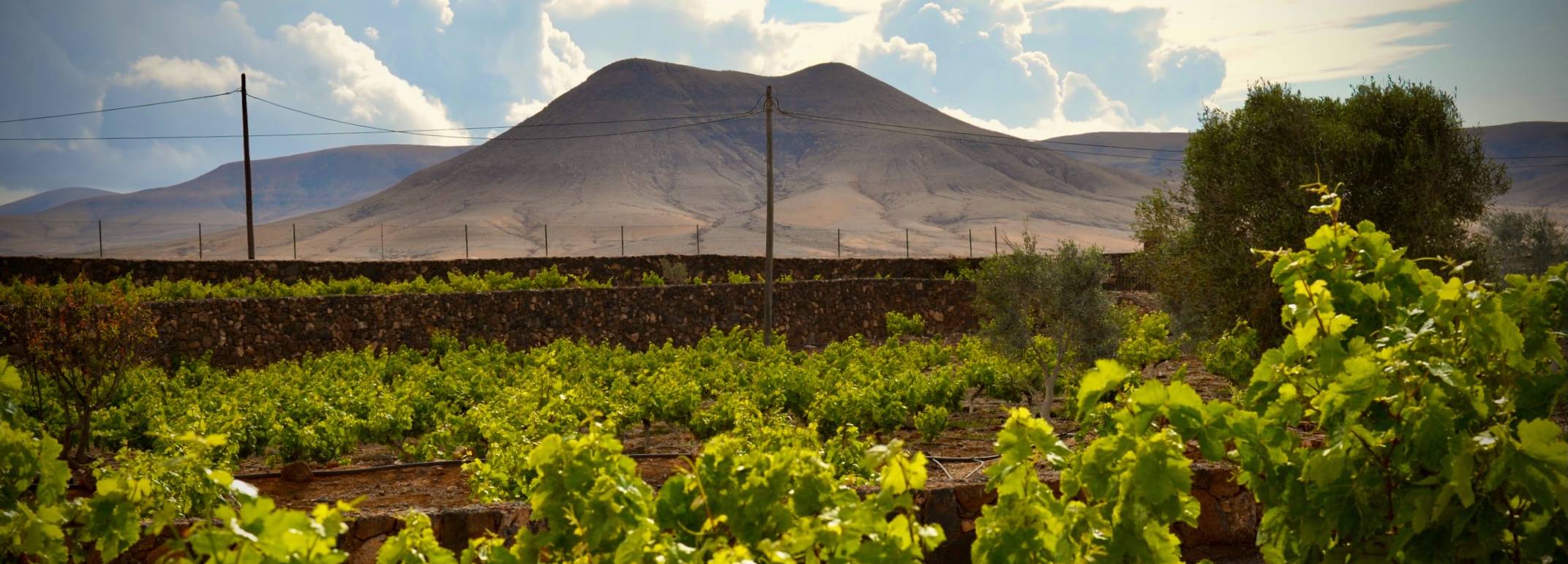 Fuerteventura - Der Norden
