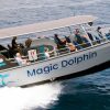 Dolphin Search mit großem Speedboot