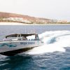 Dolphin Search mit großem Speedboot – Bild 2
