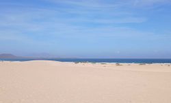 den_wilden_norden_entdecken_featured_600x216