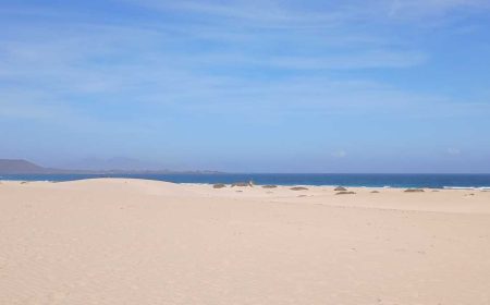 den_wilden_norden_entdecken_featured_600x216