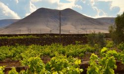fuerteventura_der_norden_featured_600x216 fuerteventura_der_norden_featured_600x216