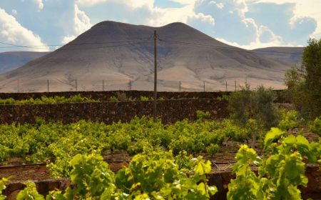 fuerteventura_der_norden_featured_600x216