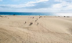 isladelobos_popcornstrand_featured_600x216 isladelobos_popcornstrand_featured_600x216