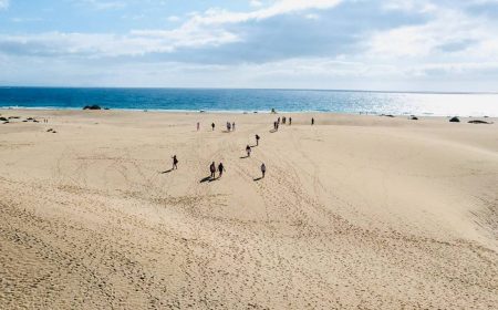 isladelobos_popcornstrand_featured_600x216 isladelobos_popcornstrand_featured_600x216