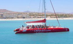 obicat_katamaran_featured_600x216