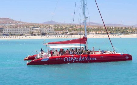 obicat_katamaran_featured_600x216