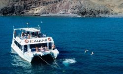 sealand_absolute_600x217_featured