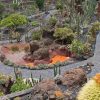 Lanzarote – Bild 6