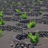 Entdecken Sie Lanzarote! – Bild 3
