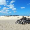Highlights of Fuerteventura – Bild 9