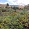 Sensation de Fuerteventura - Inselrundfahrt – Bild 2