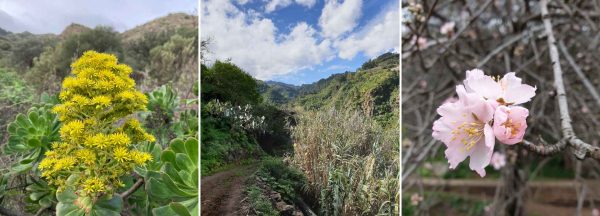 3-Routen-Wanderpaket