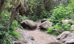 wandertouren_1_1920x690