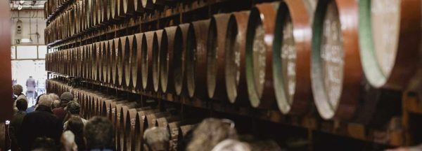 Inseltour - Grüner Norden